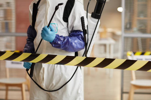 Professional Blood Cleanup technician working in Crook, CO